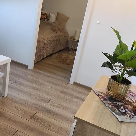 Appartement Fiona1 Centrum700m Parking Bezplatny Monitorowany Salon Tv Sypialnia Tv Kuchnia Lazienka Rekuperacja *