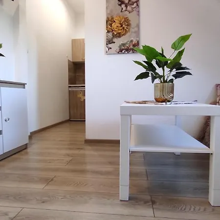 Appartement Fiona1 Centrum700m Parking Bezplatny Monitorowany Salon Tv Sypialnia Tv Kuchnia Lazienka Rekuperacja