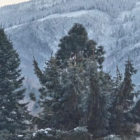 Fiona1 Centrum700m Parking Bezplatny Monitorowany Salon Tv Sypialnia Tv Kuchnia Lazienka Rekuperacja Apartman Karpacz