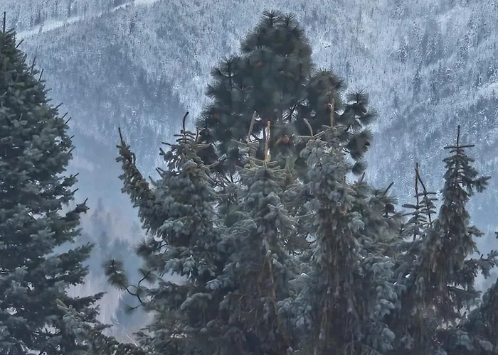 Fiona1 Centrum700m Parking Bezplatny Monitorowany Salon Tv Sypialnia Tv Kuchnia Lazienka Rekuperacja 아파트 카르파츠